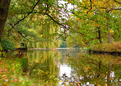 Různé (příroda, stroje)